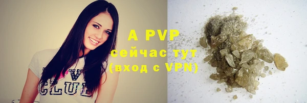 винт Алексин