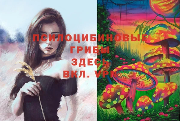 винт Алексин