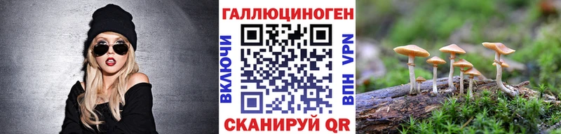 Купить закладки Нальчик Галлюциногенные грибы Cubensis